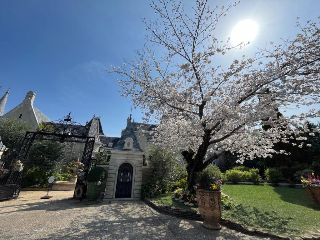 【参考】結婚式の日程どこがいいの？3.4.5月編