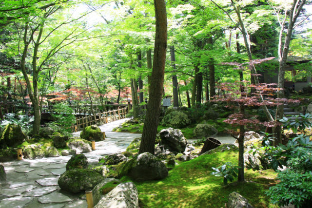 鐘山苑
